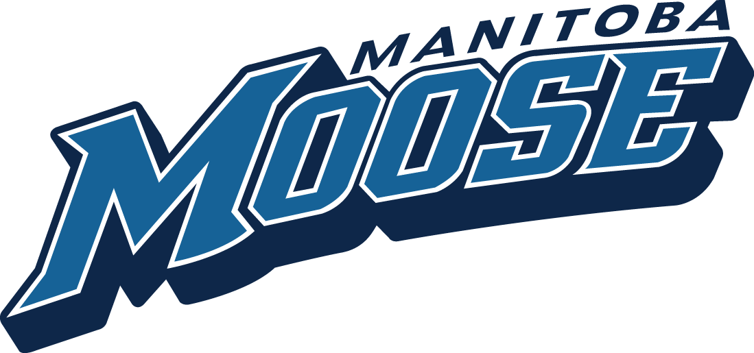 Manitoba Moose 2015-Pres Wordmark Logo iron on heat transfer